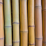 FINAL SALE Luxe Bamboo Cooling Comforter Standard Sizes