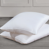 Mulberry Silk Filled Pillow Standard Sizes